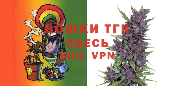 шишки Покачи
