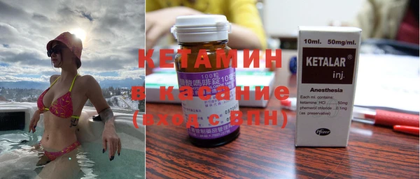 шишки Покачи